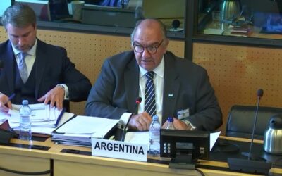 LA ORGANIZACIÓN DE NACIONES UNIDAS EVALUA A LA ARGENTINA Negacionismo y hostilidad del gobierno argentino en la 83° sesión del Comité Contra la Tortura de la ONU